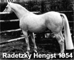 Hengst Radetzky
