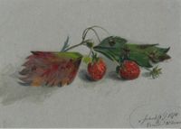 Seckendorff: Walderdbeeren